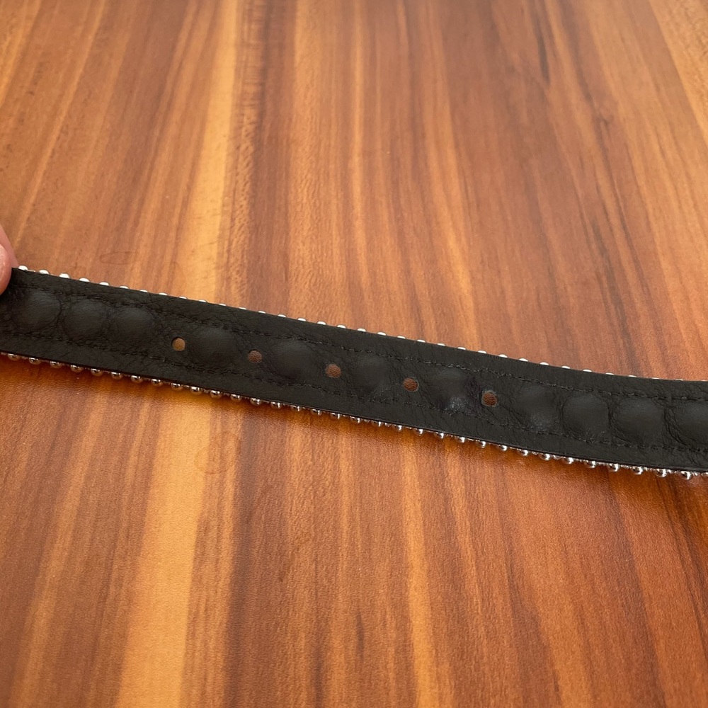 Alejandra Rhinestone Belt - Picture 7 of 8